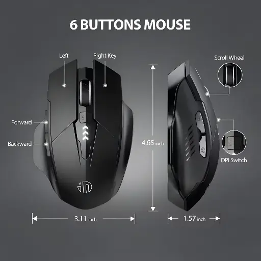 INPHIC F1